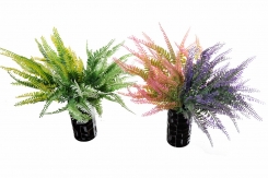 112 Veštačke paprati